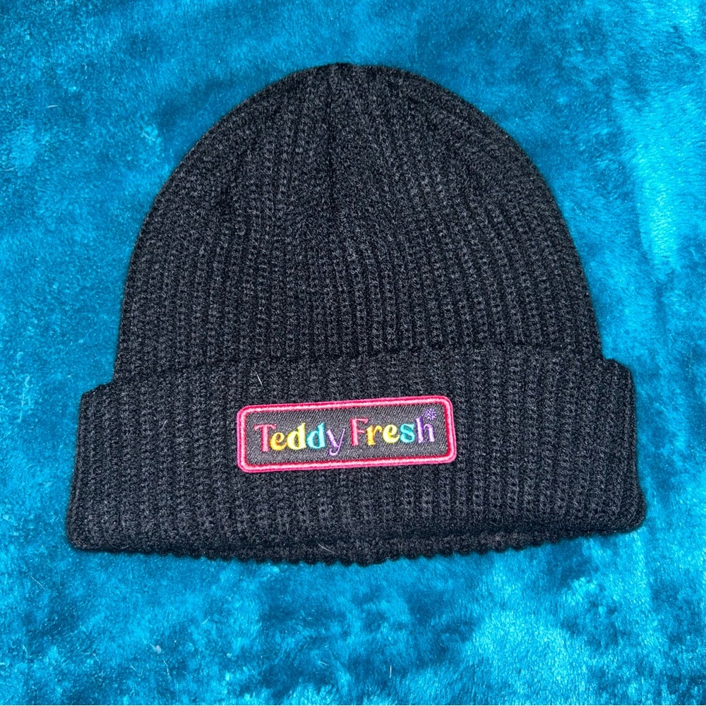 Teddy Fresh rainbow logo beanie